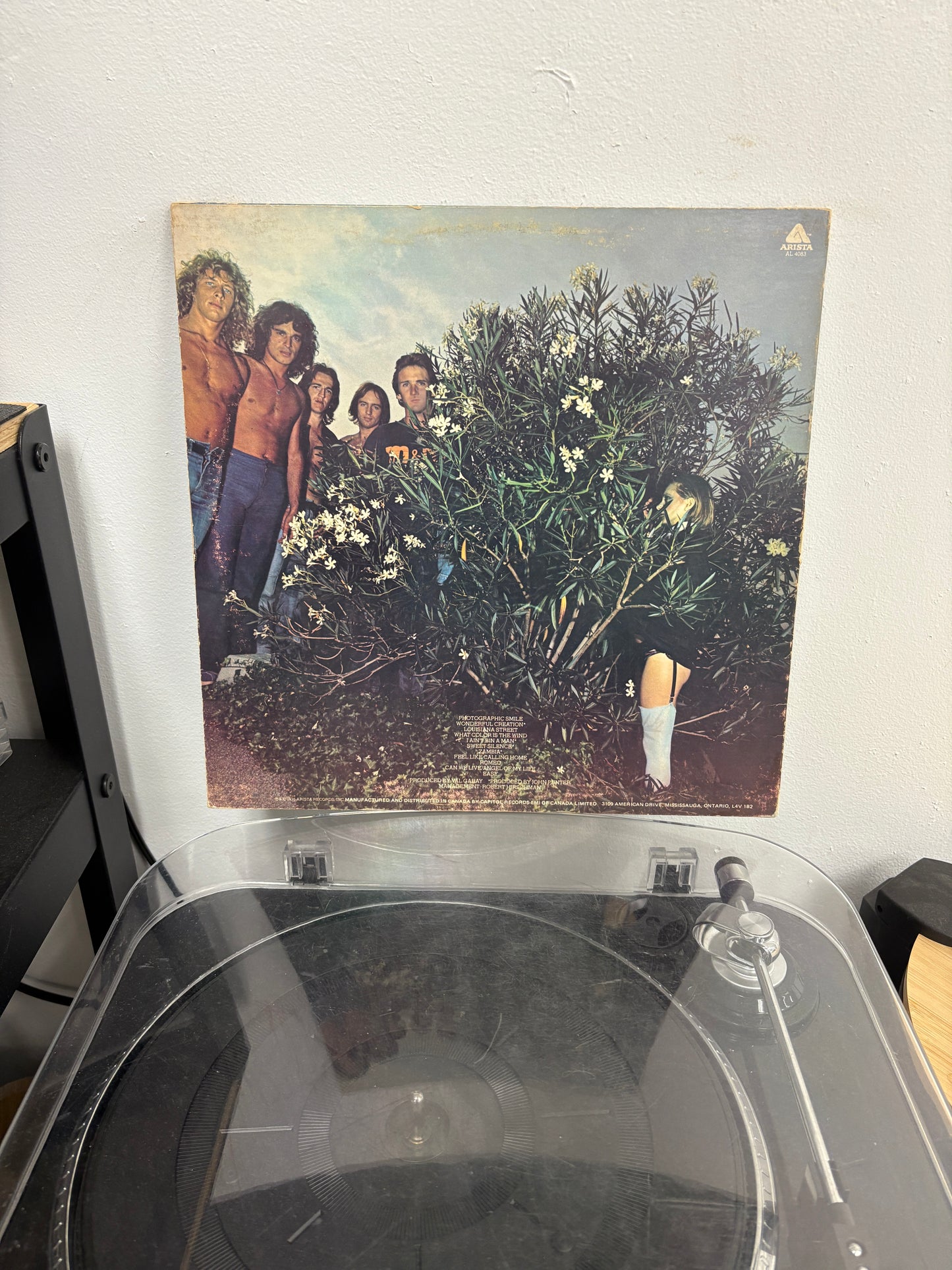 Mr. Big – Photographic Smile (Vinyl)