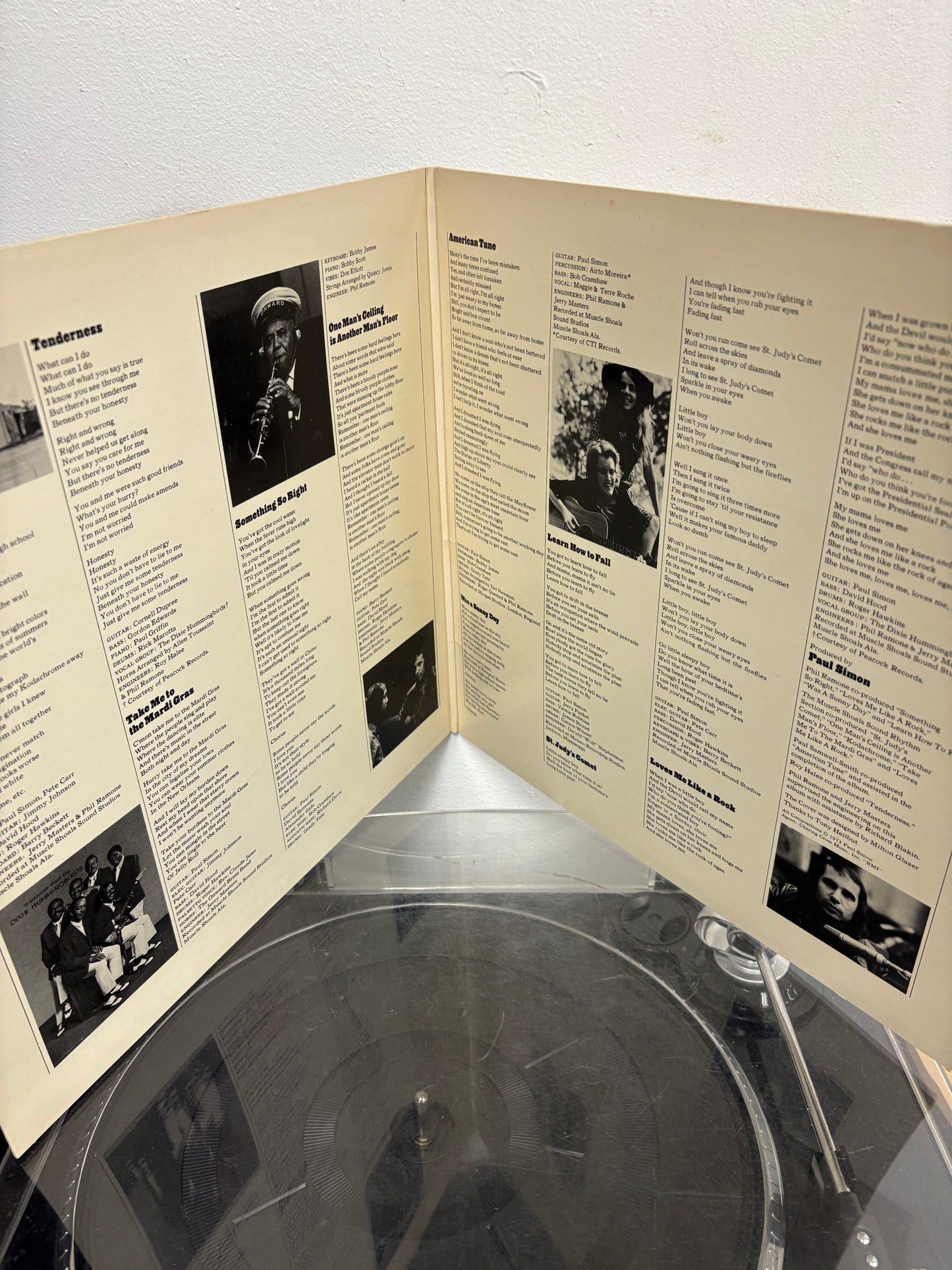 Paul Simon – There Goes Rhymin' Simon (Vinyl)