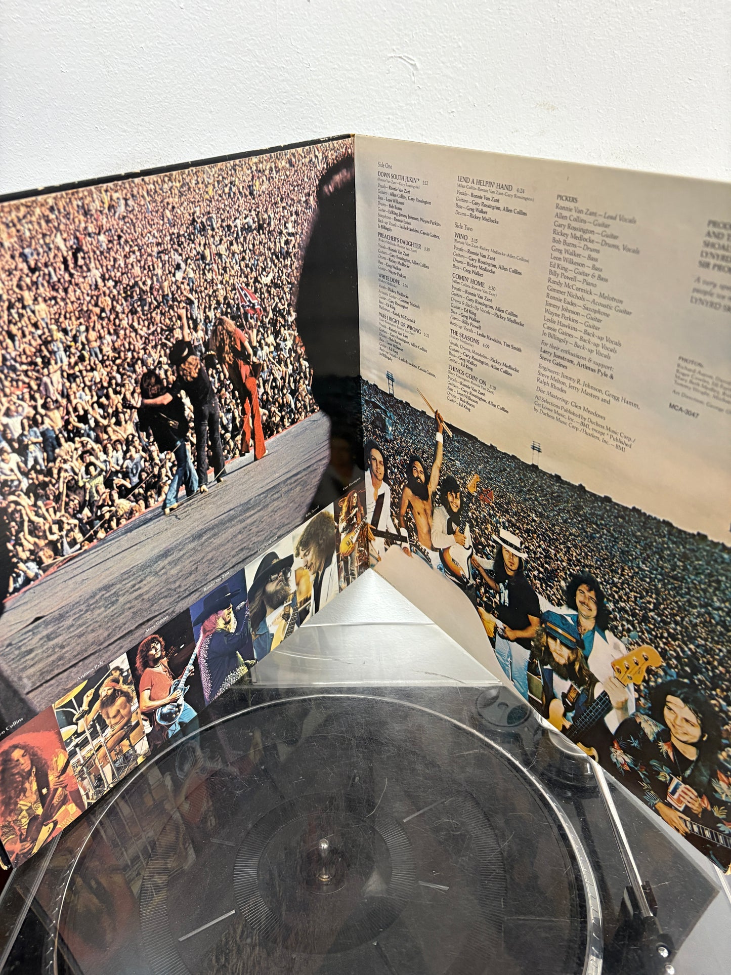 Lynyrd Skynyrd – Skynyrd's First And... Last (Vinyl)