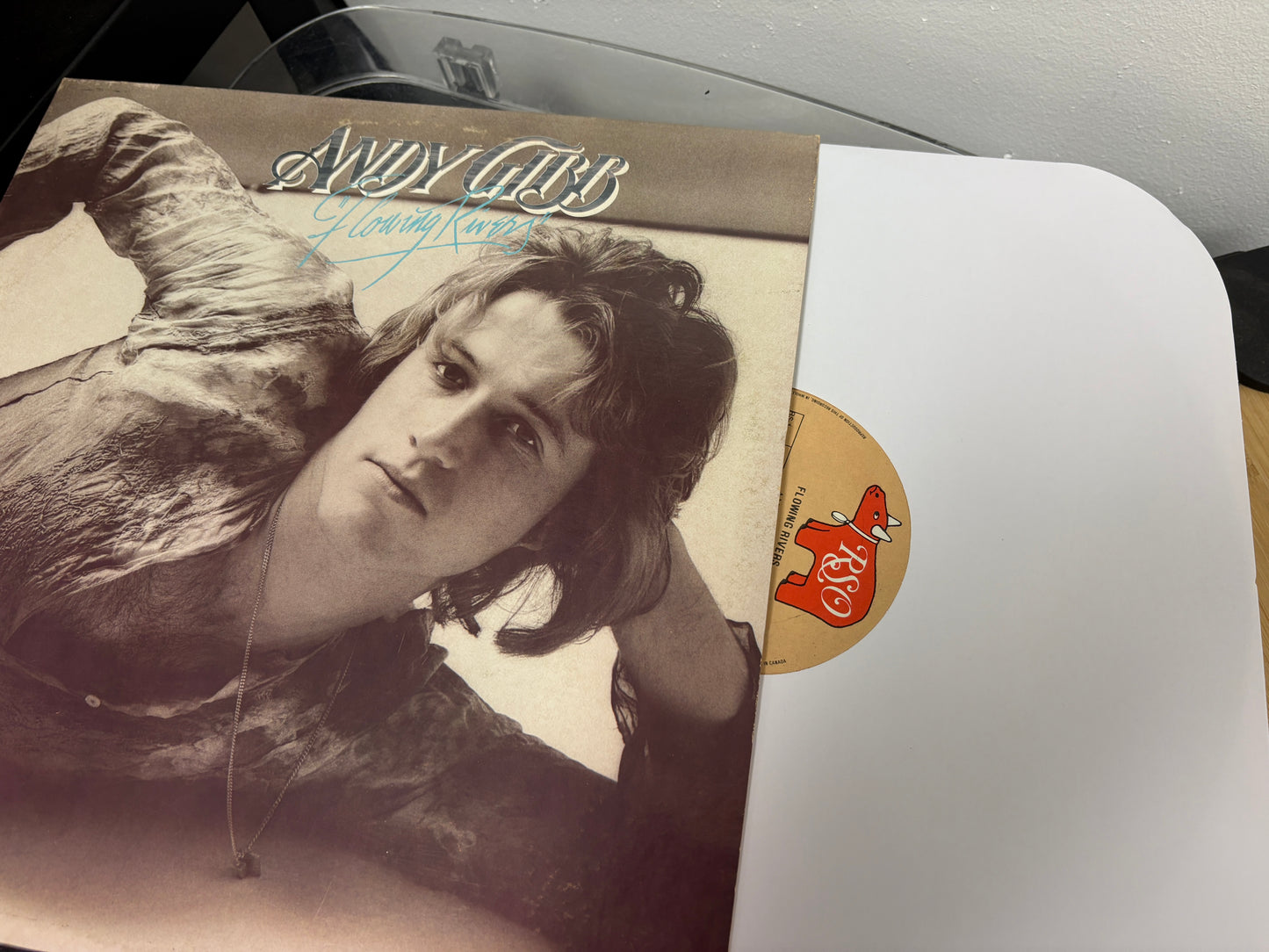 Andy Gibb - Flowing Rivers (Vinyl)