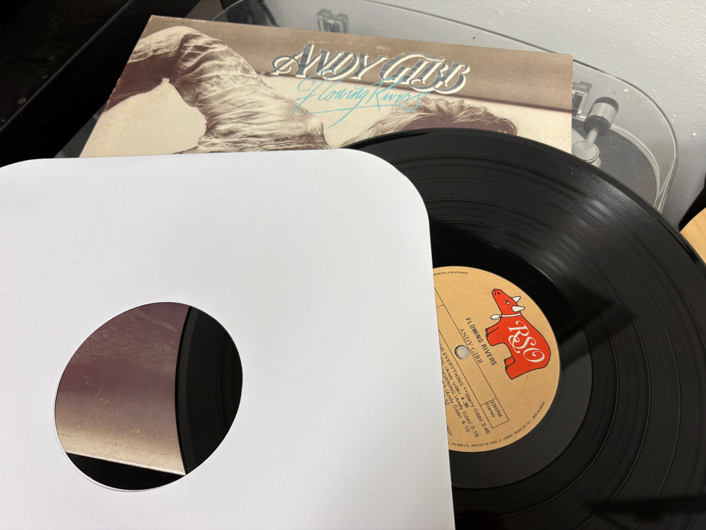Andy Gibb - Flowing Rivers (Vinyl)