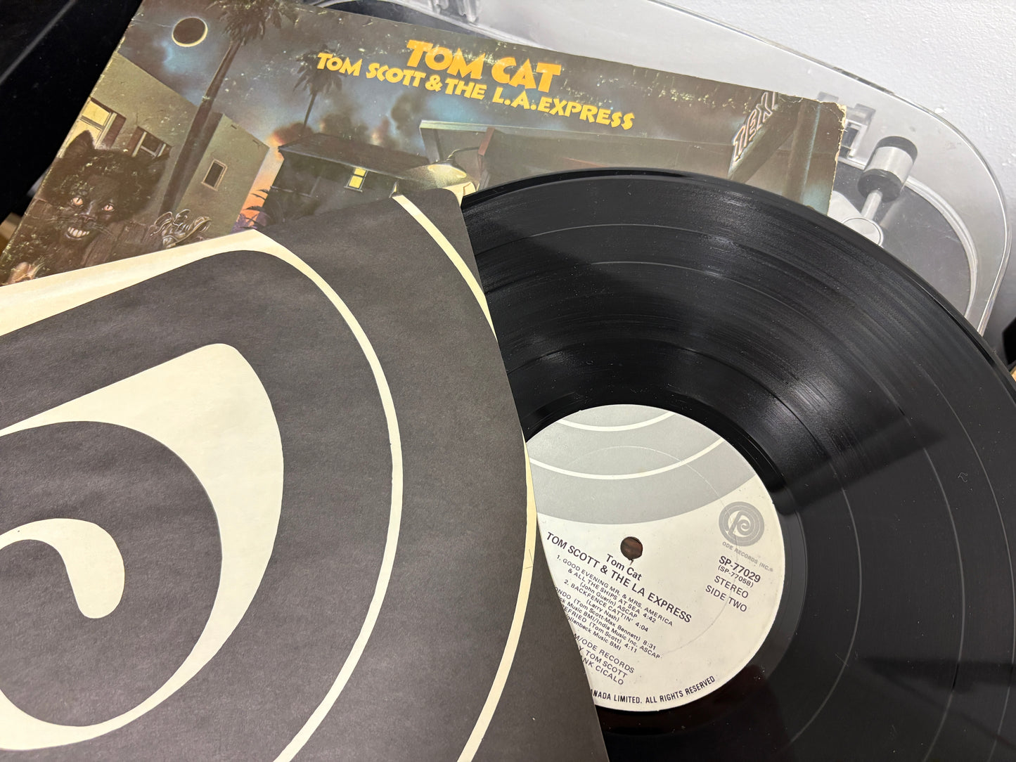 Tom Scott & The L.A. Express - Tom Cat (Vinyl)