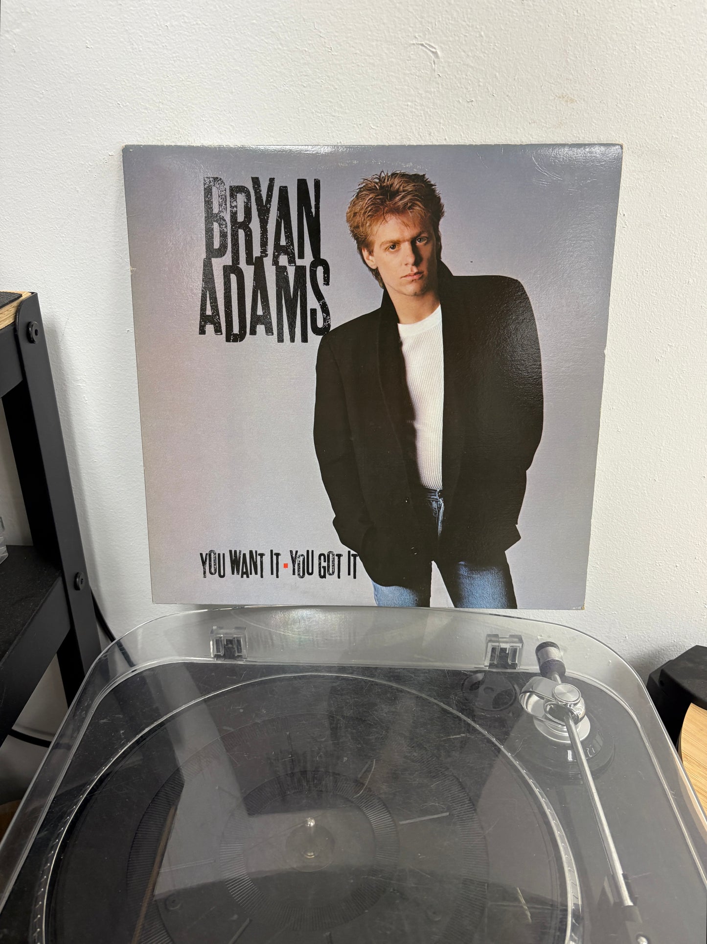 Bryan Adams - You Want It, You Got It (Vinyl)