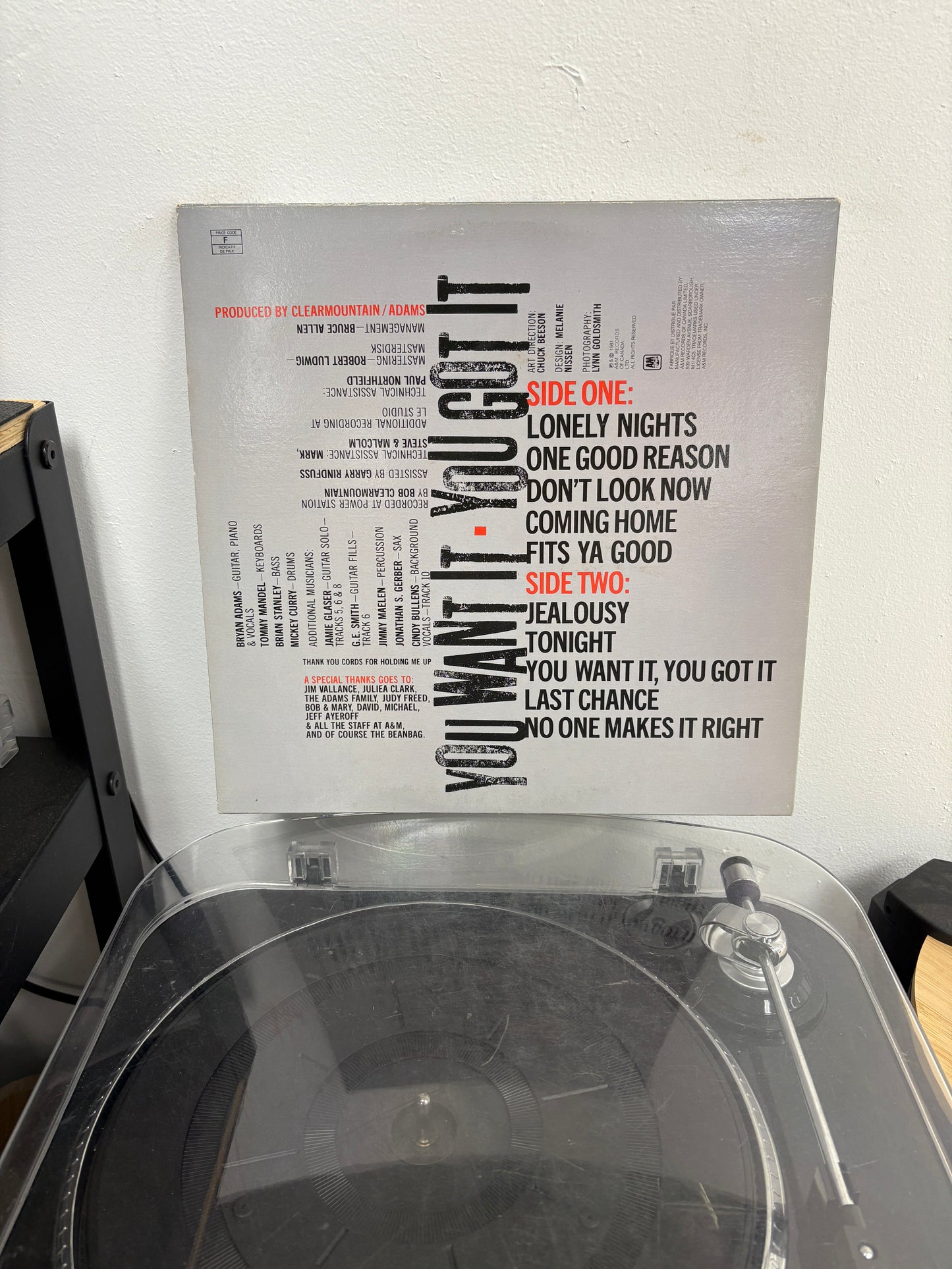 Bryan Adams - You Want It, You Got It (Vinyl)