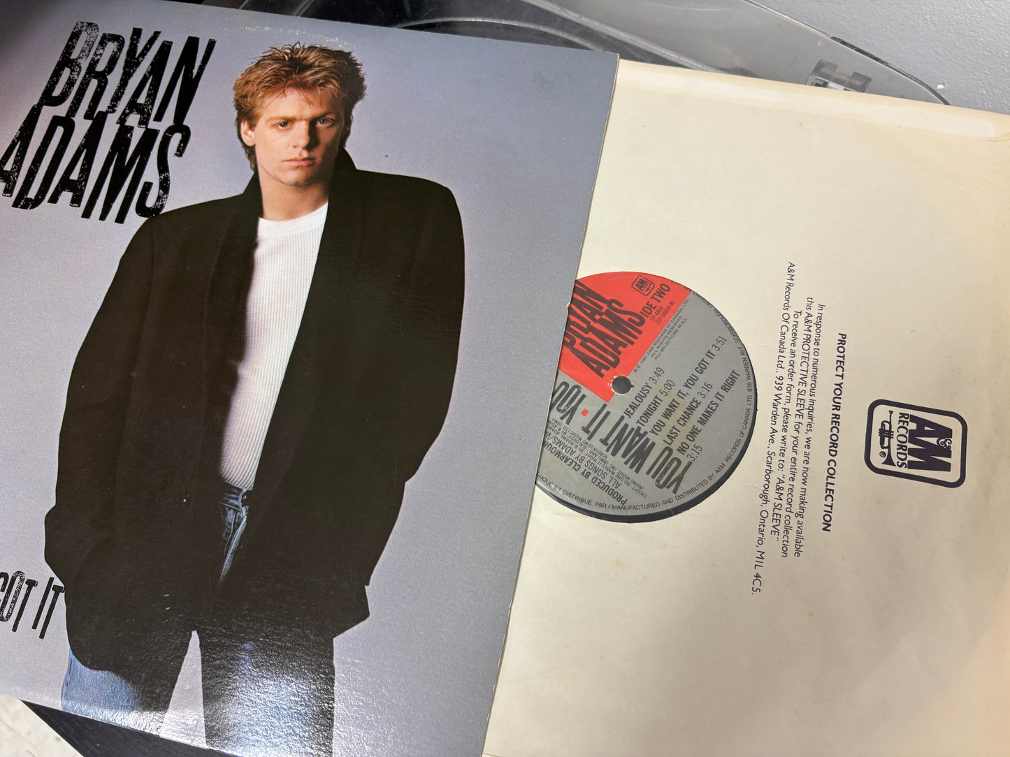 Bryan Adams - You Want It, You Got It (Vinyl)