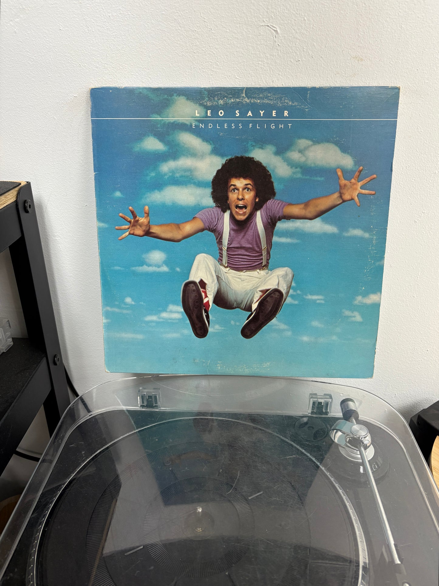 Leo Sayer - Endless Flight (Vinyl)