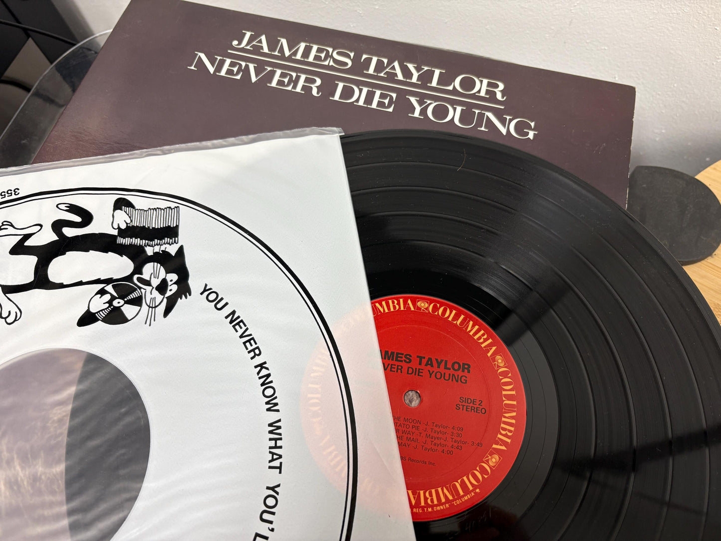 James Taylor – Never Die Young (Vinyl)