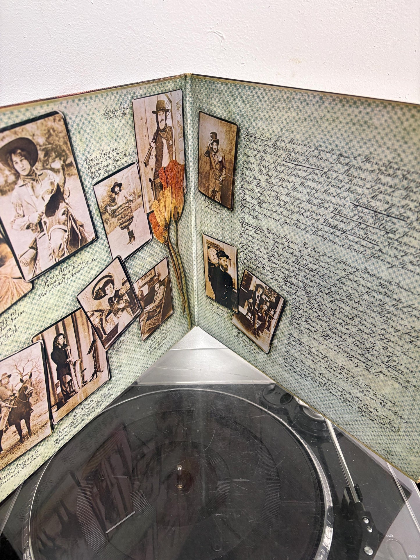 Loggins And Messina – Native Sons (Vinyl)