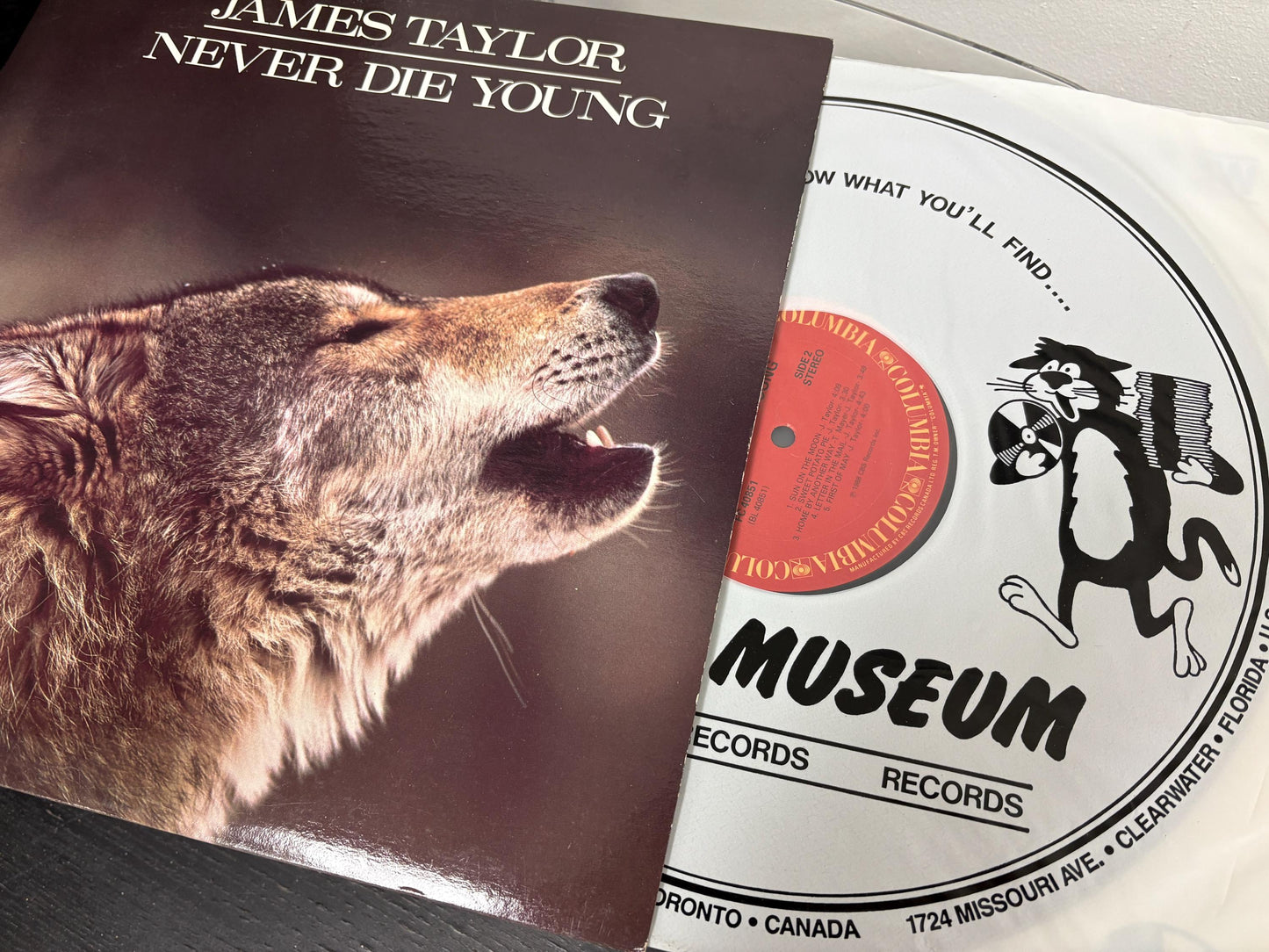 James Taylor – Never Die Young (Vinyl)