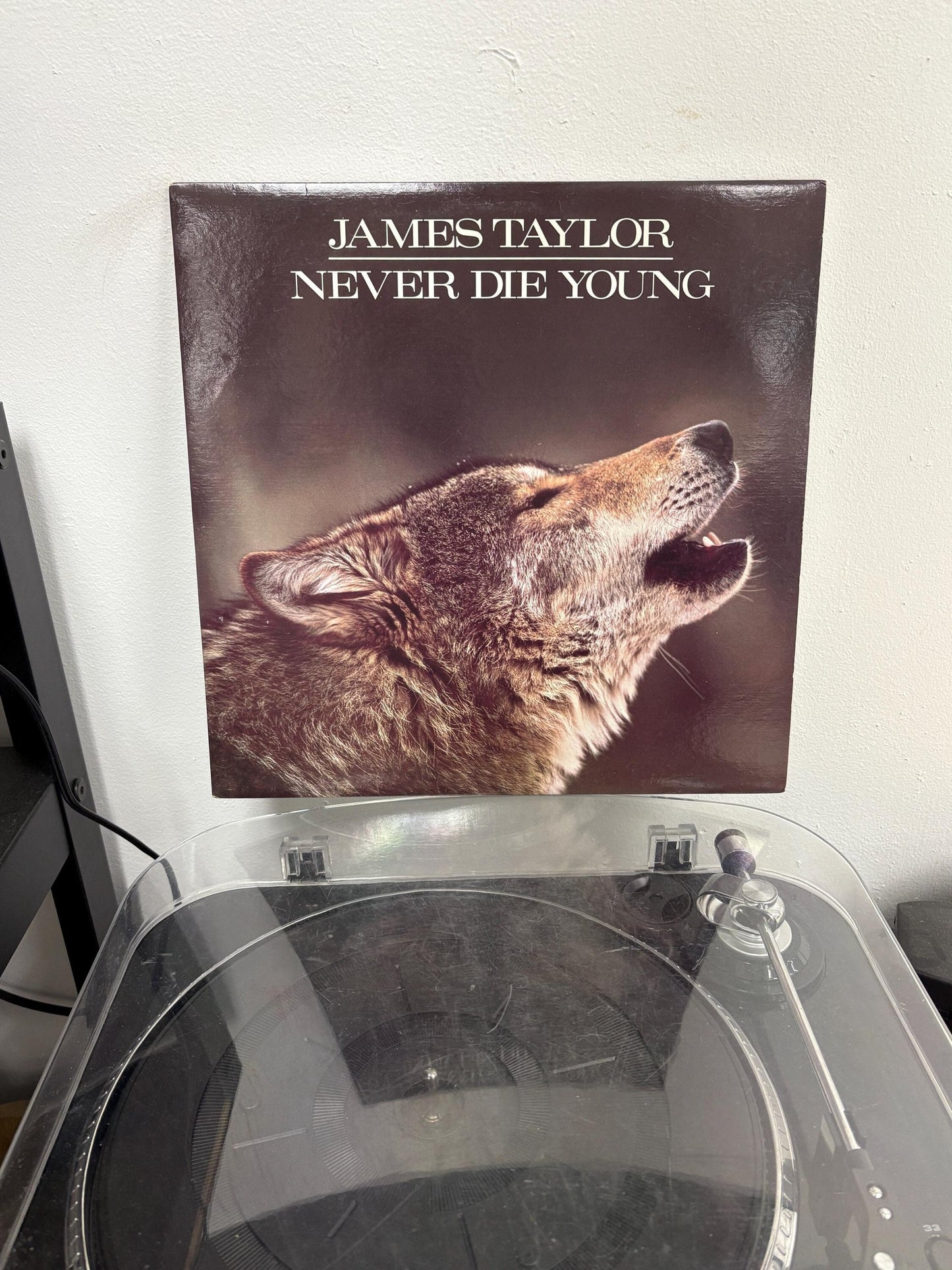 James Taylor – Never Die Young (Vinyl)