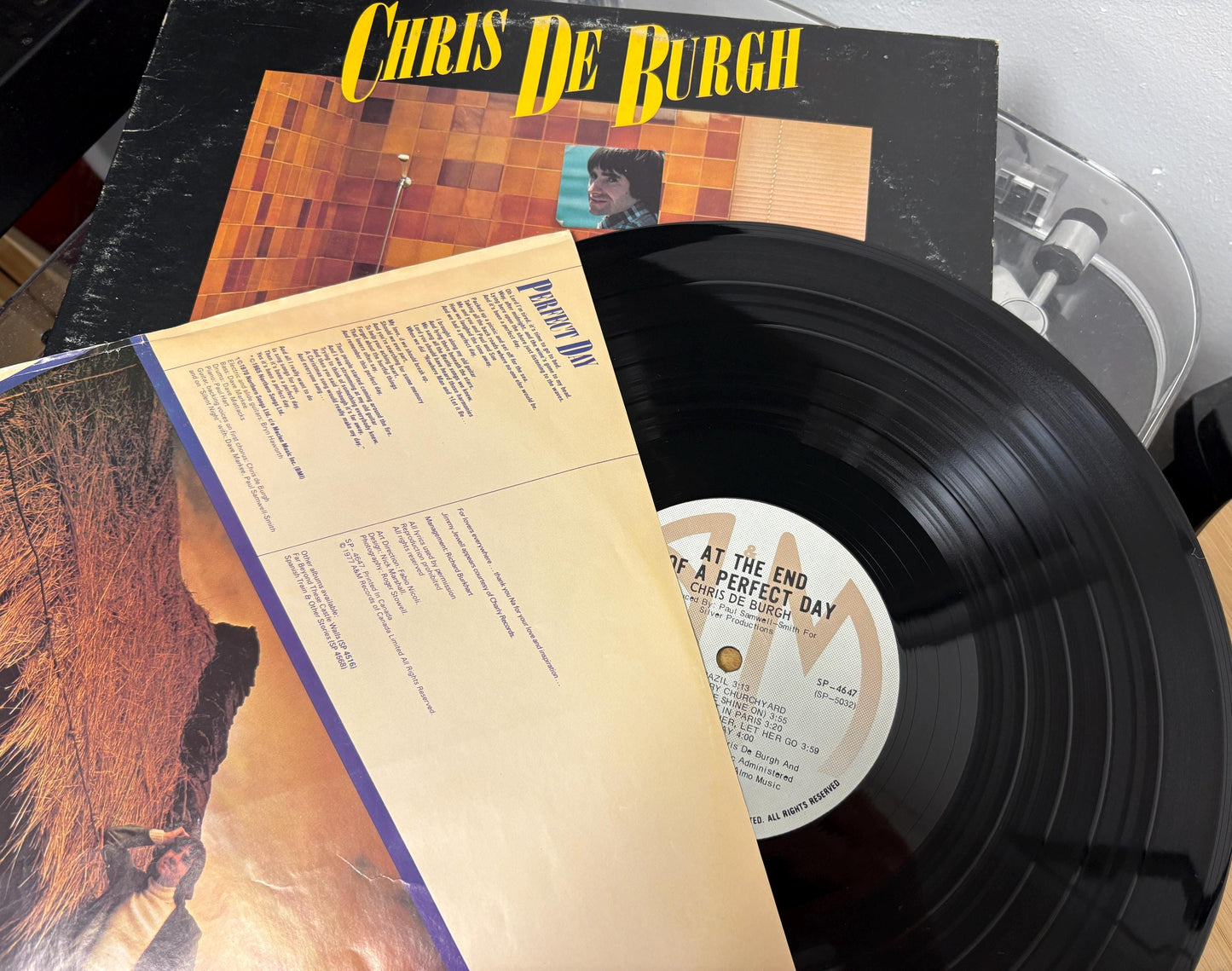 Chris de Burgh – At The End Of A Perfect Day (Vinyl)
