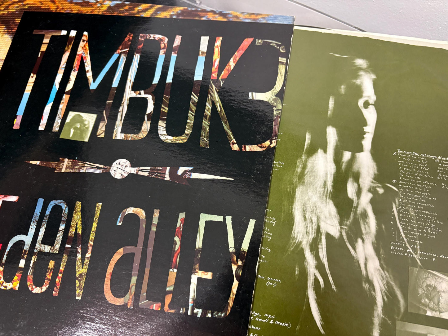 Timbuk 3 - Eden Alley (Vinyl)