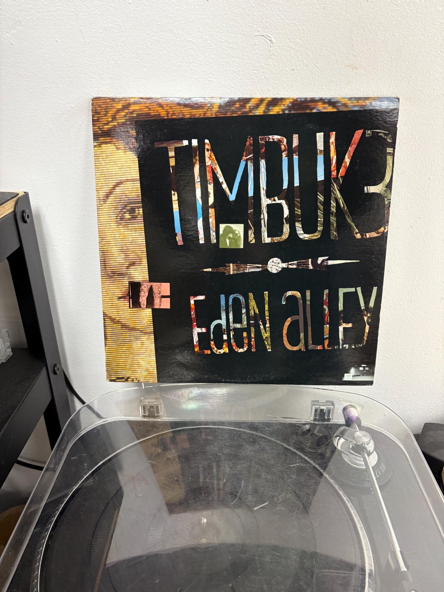 Timbuk 3 - Eden Alley (Vinyl)