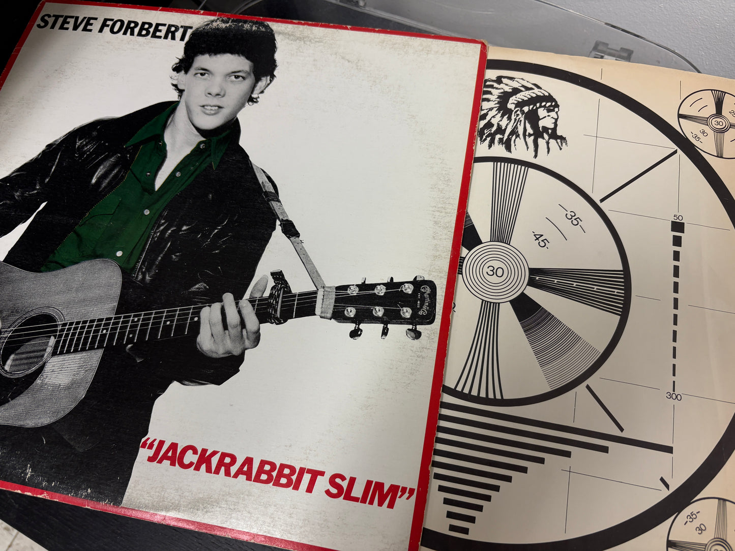 Steve Forbert – Jackrabbit Slim (Vinyl)