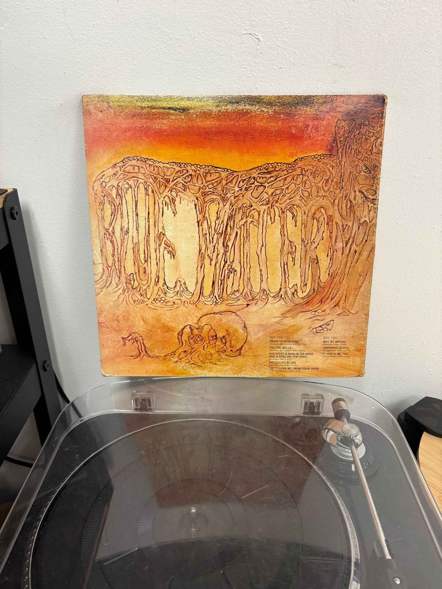 Savoy Brown - Blue Matter (Vinyl)