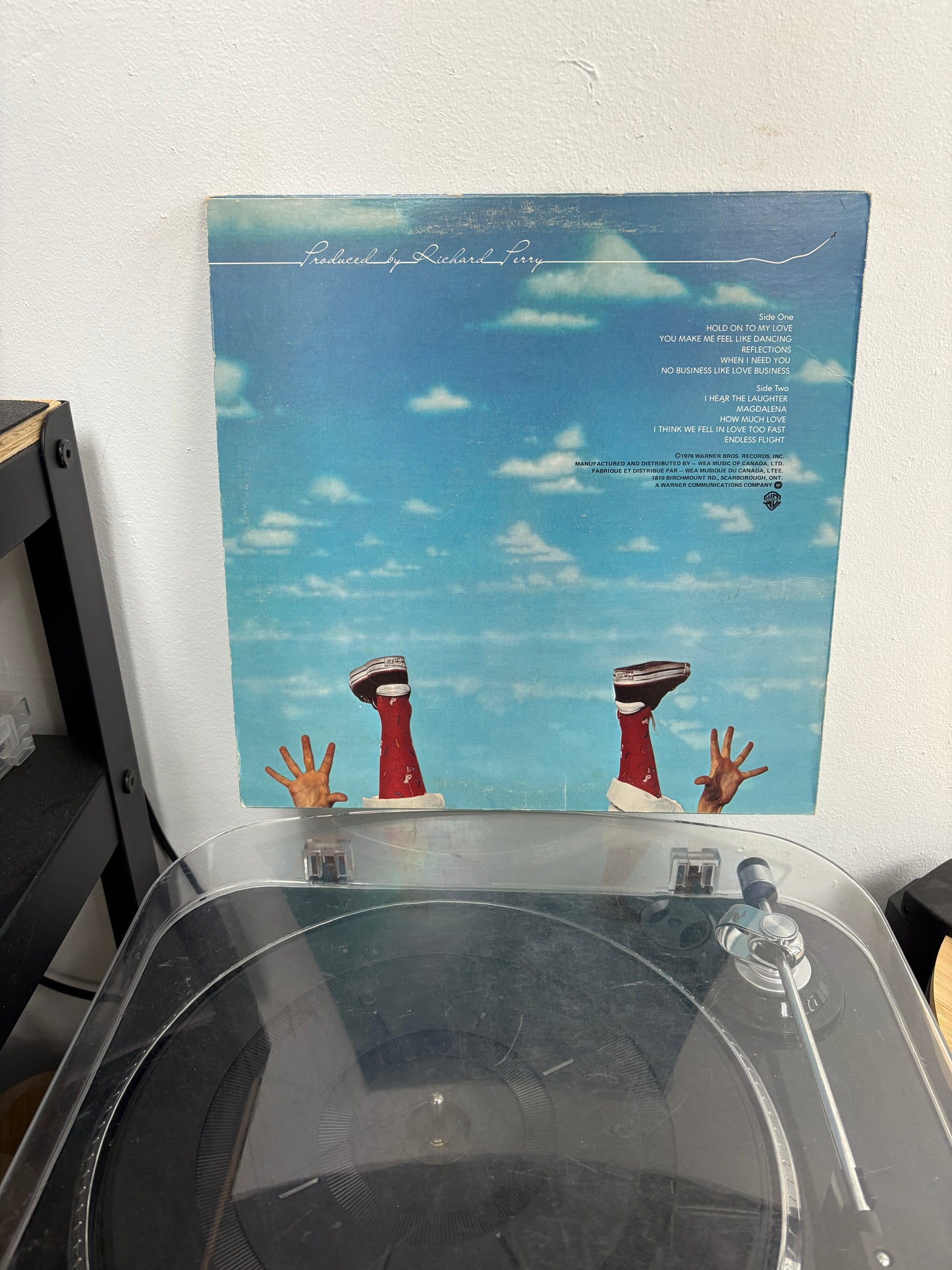 Leo Sayer - Endless Flight (Vinyl)