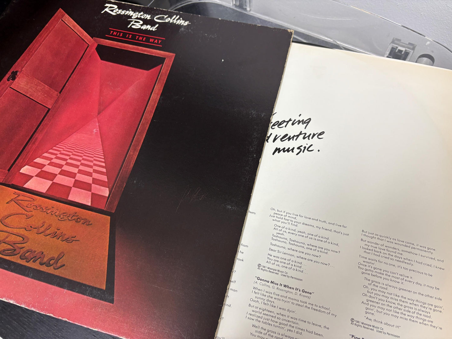 Rossington Collins Band - This Is The Way (Vinyl)