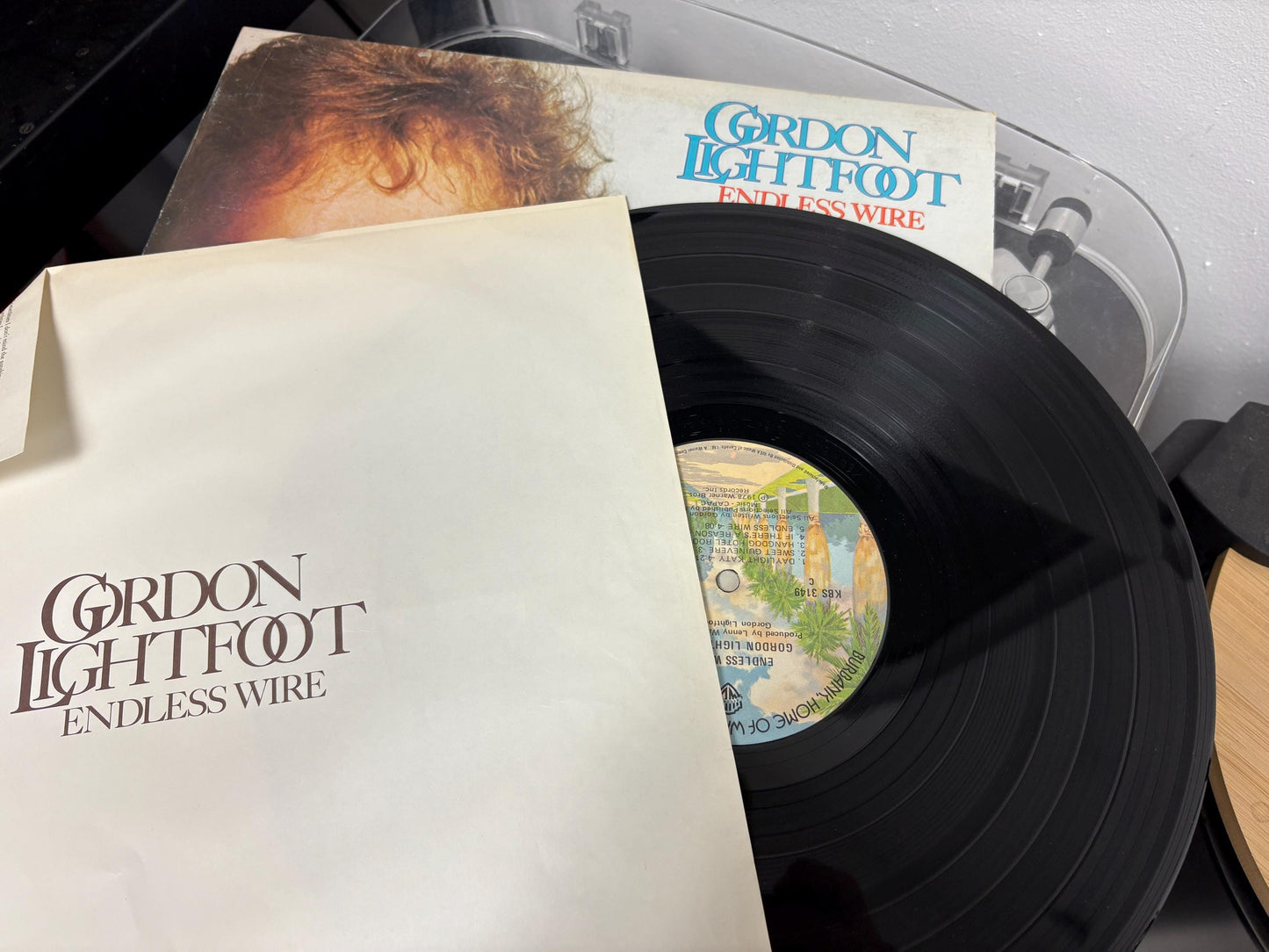 Gordon Lightfoot – Endless Wire (Vinyl)