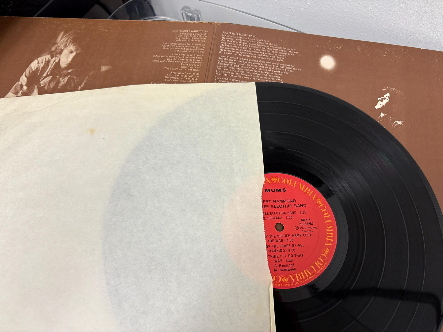 Albert Hammond – The Free Electric Band (Vinyl)