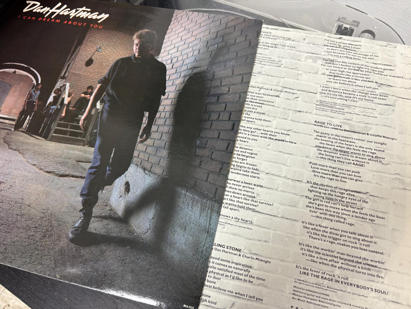 Dan Hartman – I Can Dream About You (Vinyl)