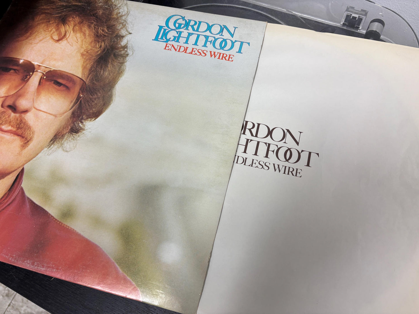 Gordon Lightfoot – Endless Wire (Vinyl)