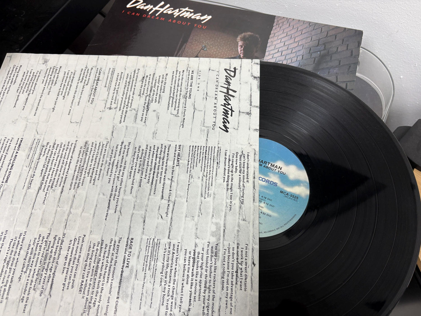 Dan Hartman – I Can Dream About You (Vinyl)