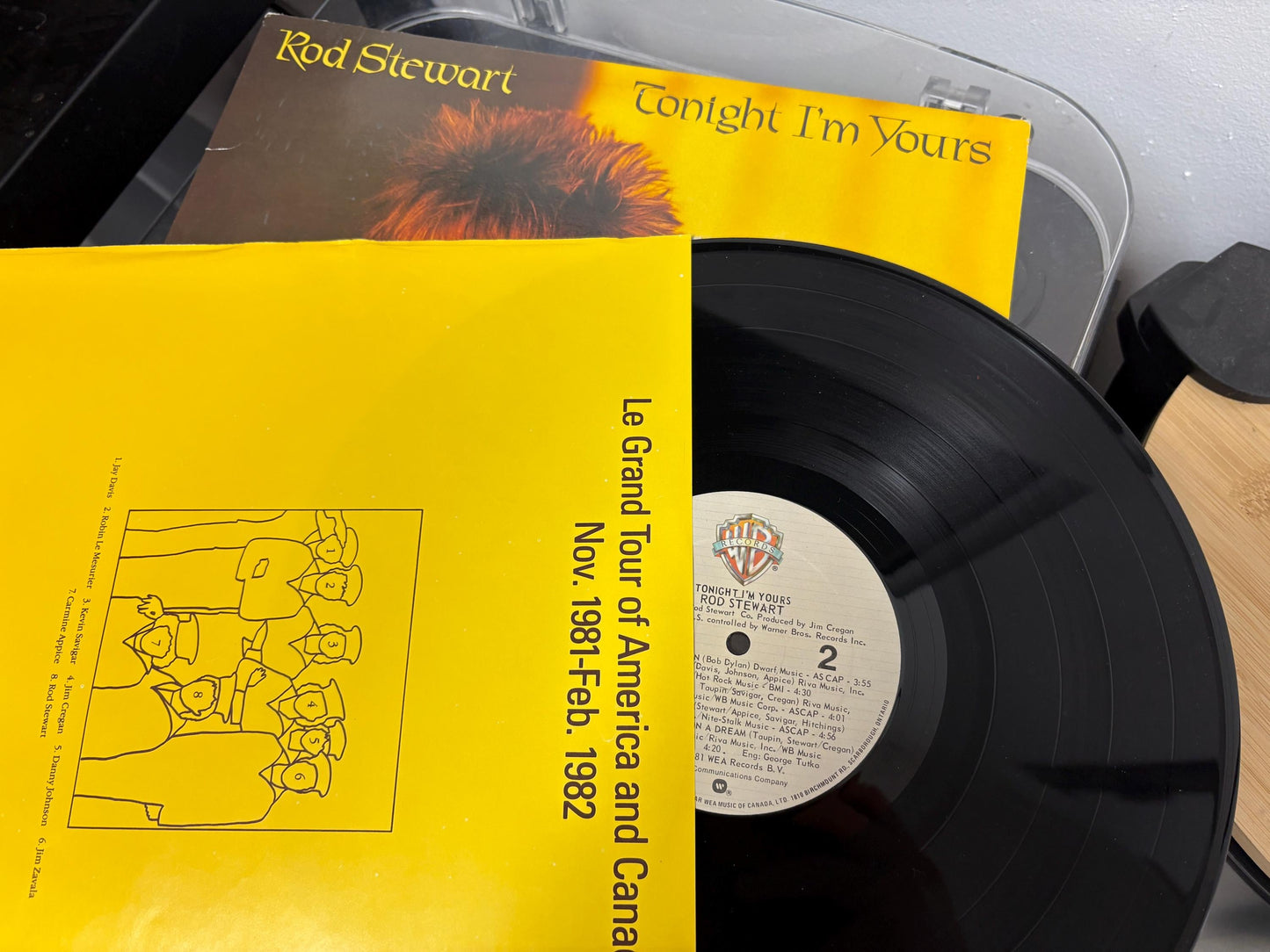 Rod Stewart - Tonight I'm Yours (Vinyl)