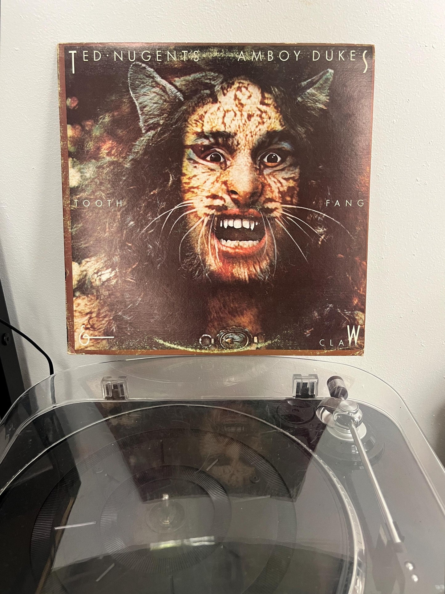 Ted Nugent's Amboy Dukes - Tooth, Fang & Claw (Vinyl)