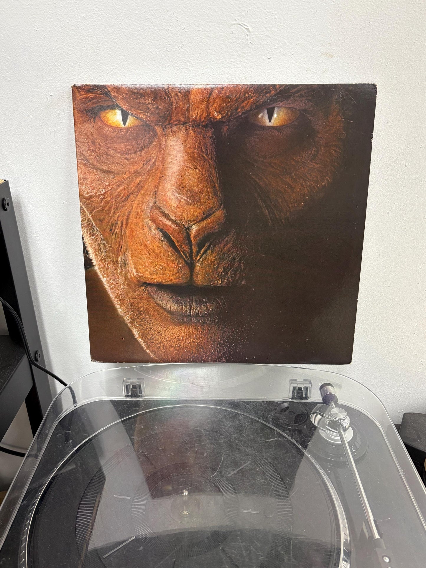 John Fogerty – Eye Of The Zombie (Vinyl)