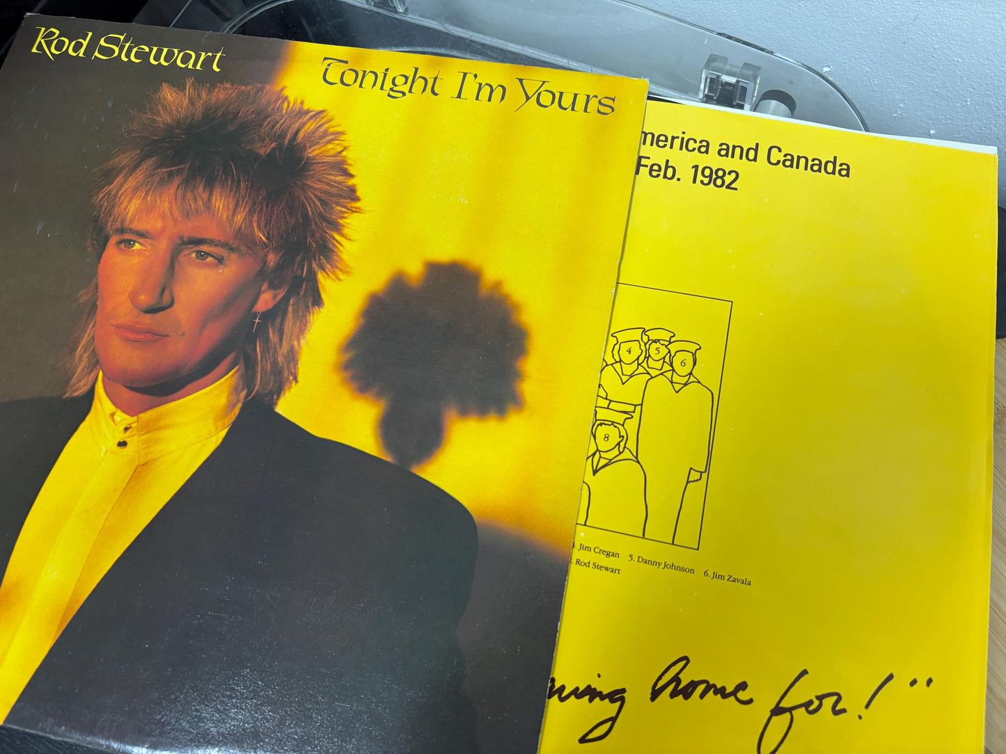 Rod Stewart - Tonight I'm Yours (Vinyl)