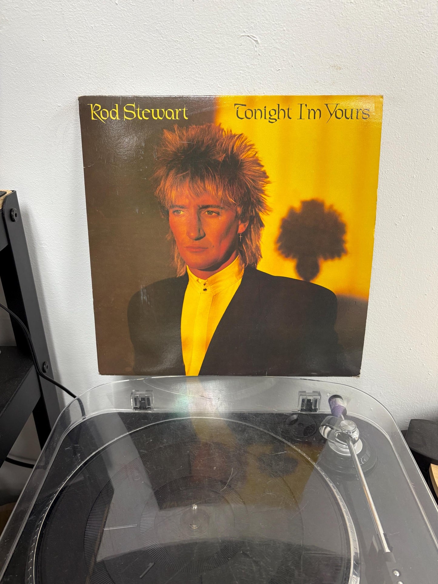 Rod Stewart - Tonight I'm Yours (Vinyl)