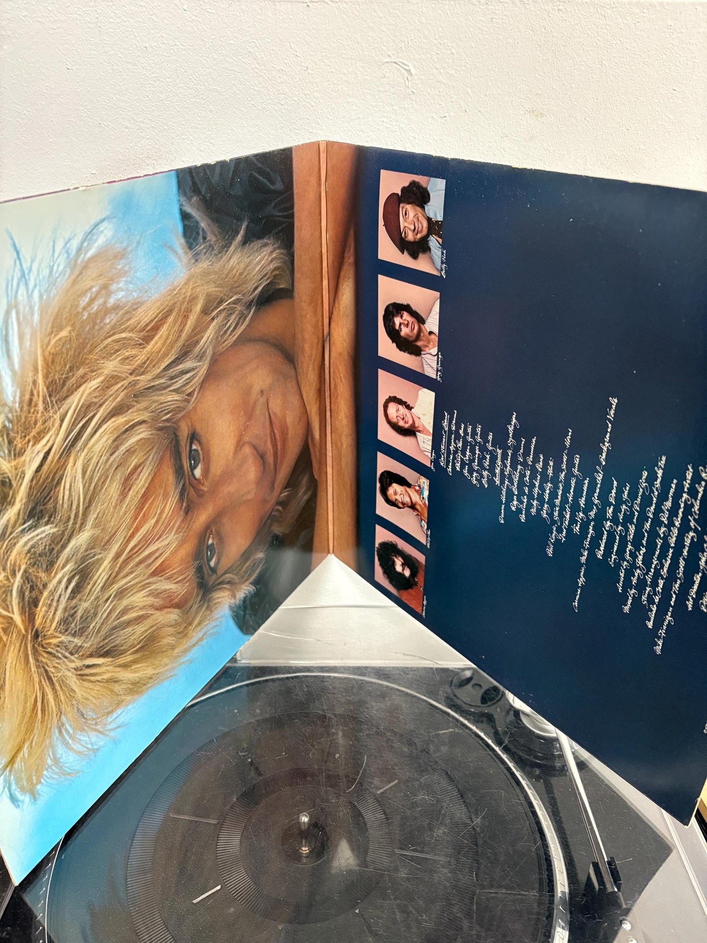 Rod Stewart - Blondes Have More Fun (Vinyl)