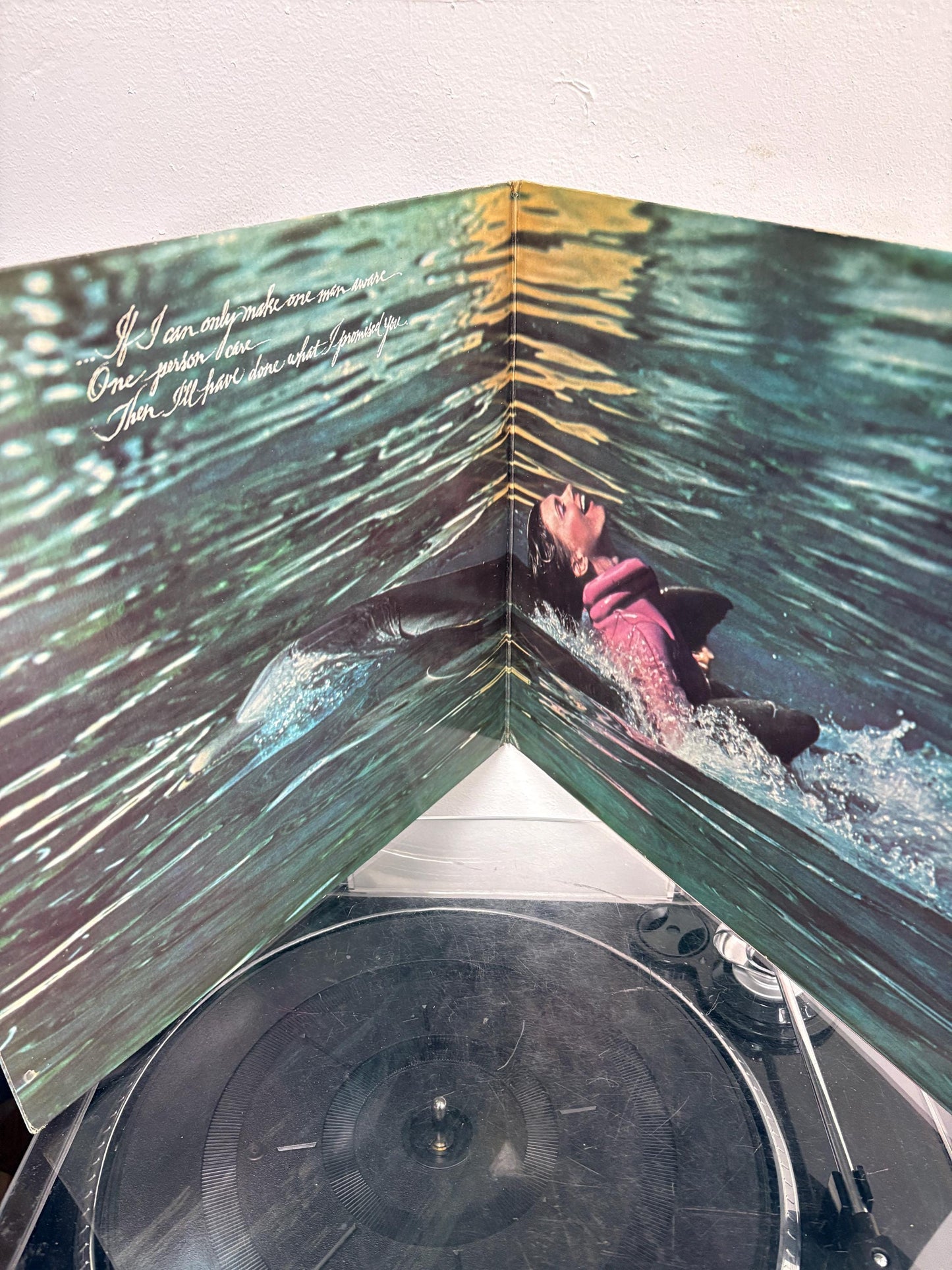 Olivia Newton-John – Physical (Vinyl)